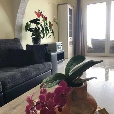 Villa Berço Funchal Extérieur photo